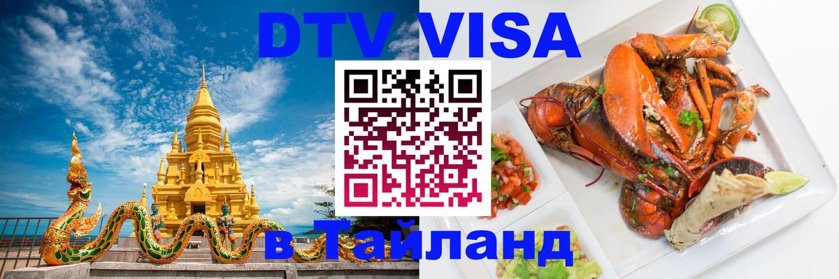 Оформление DTV визы под ключ: стоимость и тарифы, только загранпаспорт - 18.11.2025 